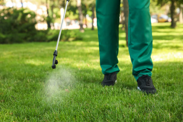Best Cockroach Control Services  in Brownville, NJ