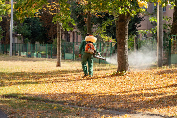 Best Best Pest Control Companies  in Brownville, NJ